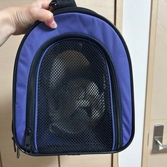ペット用キャリーバックの画像