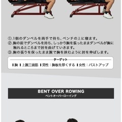 筋トレ台とクイックダンベル2セットの画像