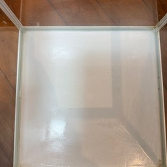 「水槽3台＋フィルター2台＋エアポンプセット（すぐ始められます）の画像