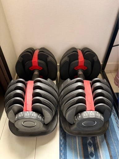  調整可能ダンベル(24kg:2個セット)