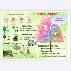 木の伐採 剪定 庭の手入れ致します。所沢市清瀬狭山市〜