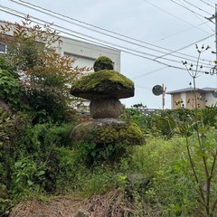 【無料】庭石・灯篭を差し上げます（引き取り限定・空き家解体のため）の画像