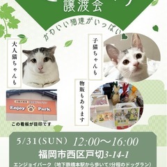 5/31 さち猫福岡譲渡会　エンジョイパーク（はっぴいすま…