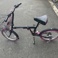 BLACKBIRD 折りたたみ自転車 の画像