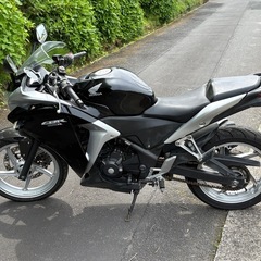 CBR250R MC41     の画像
