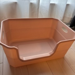 猫 トイレの画像