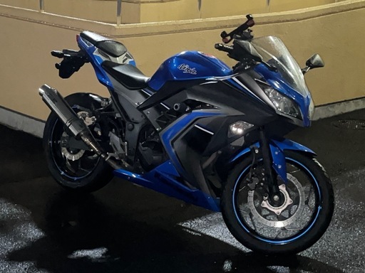 ニンジャEX250L ABC ETC USB ヘルメット付き名古屋エンジン良好 (あき