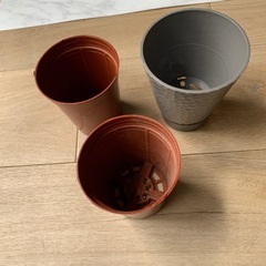 鉢植え3個セットの画像