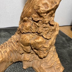     無垢の根木オブジェ｜一点物の画像