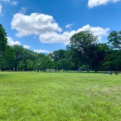代々木公園でキャッチボールやりたい⚾️