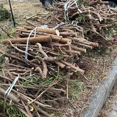 焚き火用薪　にどうでしょうか？の画像