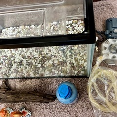 縁ありガラス水槽セット🐟　蓋はプラスチックの画像
