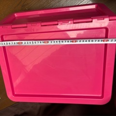 収納ケース（来週処分）の画像