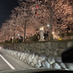 🌸神社仏閣パワースポット巡り女性メンバー募集🌸