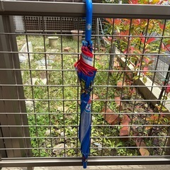 ジャンプ傘小学生用の画像
