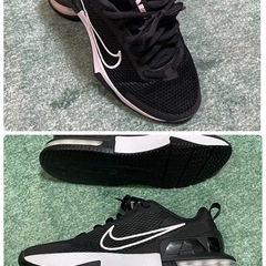 NIKE Air Max  アルファ トレーナー スニーカーの画像