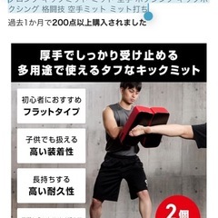 グロング キックミット ミット 空手 ボクシング キックボクシング 格闘技 空手ミット ミット打ちの画像