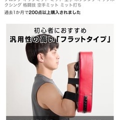 グロング キックミット ミット 空手 ボクシング キックボクシング 格闘技 空手ミット ミット打ちの画像