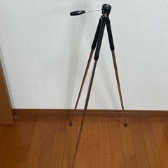 三脚ミネット
の画像