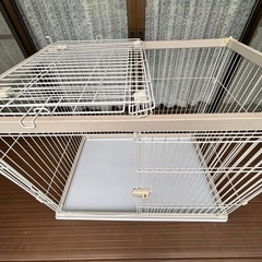 【本日5/4まで】犬用ケージ　ホワイトの画像