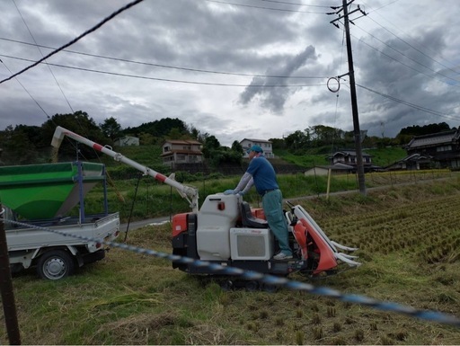 岡山県産　虹のきらめき　玄米30キロ　　　　　