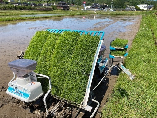 岡山県産　虹のきらめき　玄米30キロ　　　　　