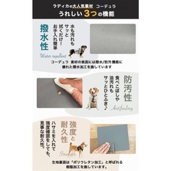 ラディカ　コーデュラー　2WAYスリングの画像