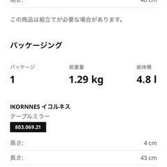IKEA IKORNNES イケア　イコルネス 卓上壁掛けミラーの画像