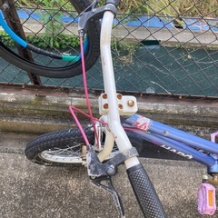 無料　条件ありの画像