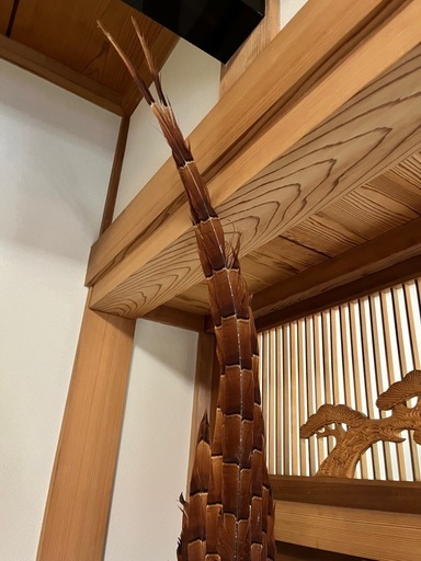 山鳥剥製