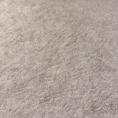 IKEAカーペットの画像