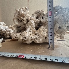 超豪華!　天然サンゴ 大量セットの画像