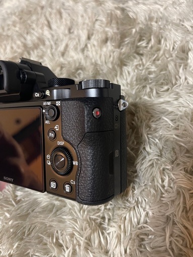 SONY α7S初代 ミラーレスviltrox 50mm f2 airセット (isa) 花畑の