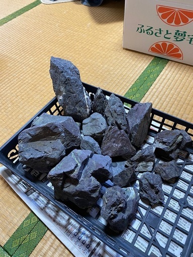 アクアリュウム　水槽一式