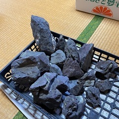アクアリュウム　水槽一式の画像