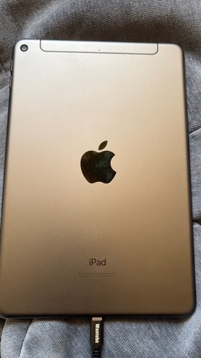 iPad mini5海外版セルラーモデル