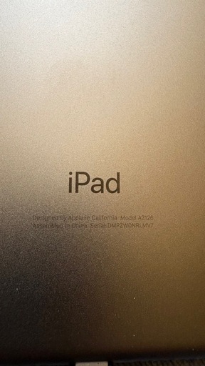 iPad mini5海外版セルラーモデル