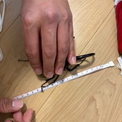 ヘラクレスオオカブトの画像