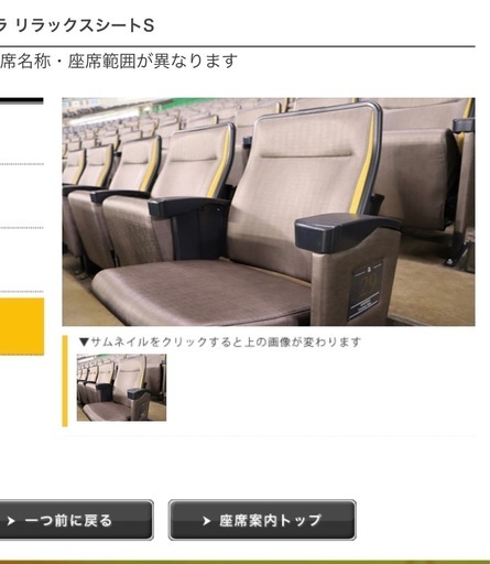 野球チケット