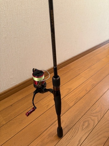 デプス 　バグレイダー　ダイワ　タトゥーラ LT2000SXH