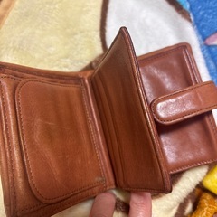再出品❣️5／6日.10時で出品最後  わちふぃーるど2つ折り財布  ダヤンの画像