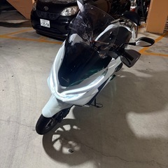 pcx81の画像