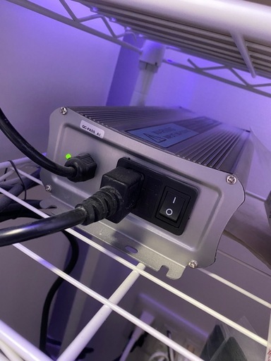 水槽用LEDライト maxspect R420R RAZOR Maxspect Razor R420R システムLED - メルカリ