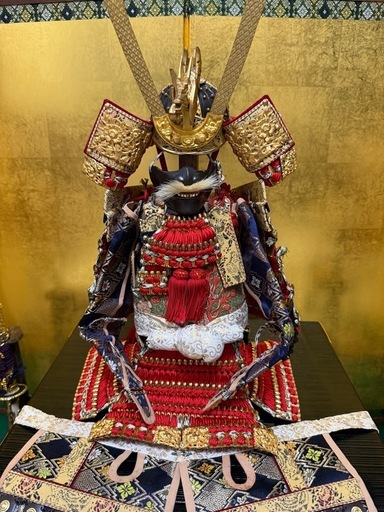京都島津　五月人形　大鎧　