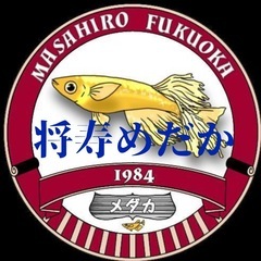 めだか掬いの画像