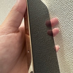 iPhone13Pro 256ギガの画像