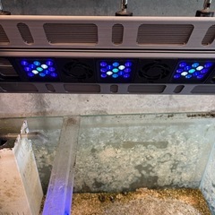 海水魚LED照明(maxspect r420r)の画像