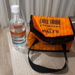 EXILE TRIBE 2016 クーラーバッグの画像