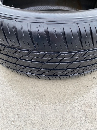 265/55R19 ダンロップ　グラントレック 150プラド　1本