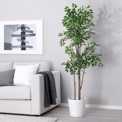 IKEA 人工観葉植物の画像